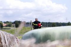 8151_Photos.3046_2592x1728