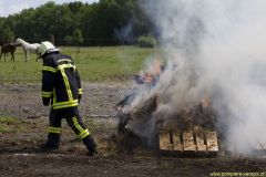 8191_Photos.3086_2592x1728