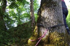 3987_DSCF6092_2848x2136