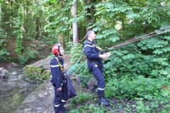 3995_DSCF6100_2848x2136