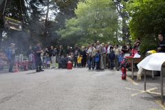 7129_Photo.130_5616x3744