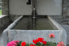 3492_Photo.117_2000x3008