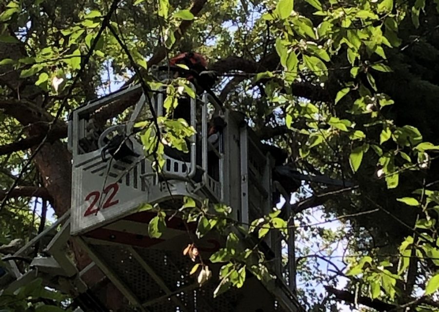 20.07.2019 – Prévention – Nature