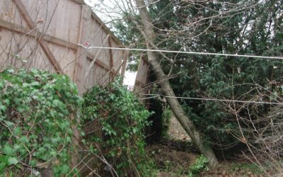 Interventions diverses