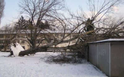 26.01.2005