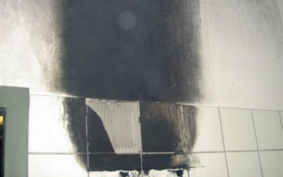 19.01.2007