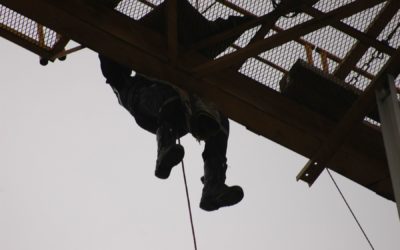 07.11.2009 Anti-chutes Grue