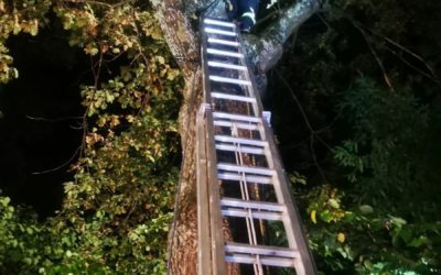 07.10.2019 – Exercice Anti-Chute