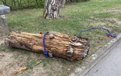 Cours de treuillage