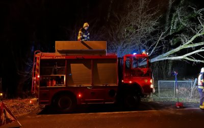 10.01.2022 Déblaiement – Voie publique – Arbre