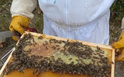 08 août 2022 Lundi d’été